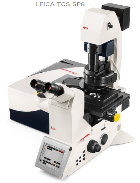 Leica SP8 Confocal